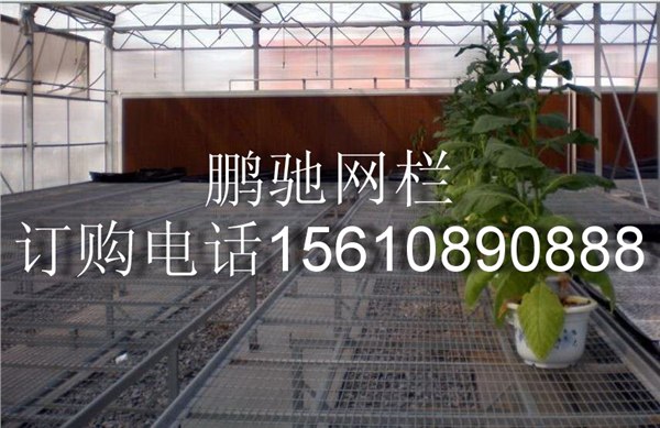 供应大连热镀锌苗床网吉林长春苗床网移动网片