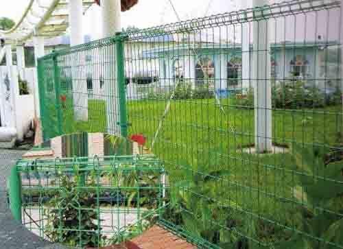 兰州电焊网/不锈钢网生产厂 青海土工格栅批发价格【鑫永盛】