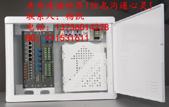 供应FTTH光纤箱