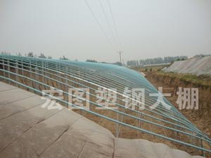 目前网上存在非常多的蔬菜大棚设计方案 应选什么方案/宏图首选