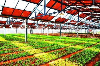 【农业】太阳能发电光伏蔬菜大棚建造厂家 寿光华天最给力！