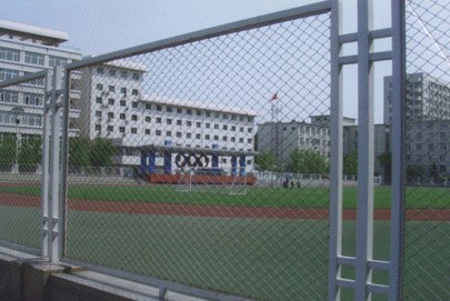 洛阳护栏网|河南护栏网|甘肃护栏网|山西护栏网生产加工厂家