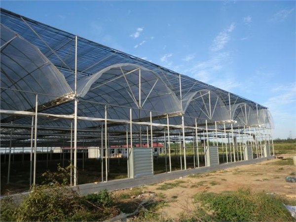 现代化温室设计，现代化温室报价，现代化温室建造，青州徐素红