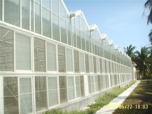 阳光PC板温室 阳光板温室设计 河北阳光板温室 中农五丰