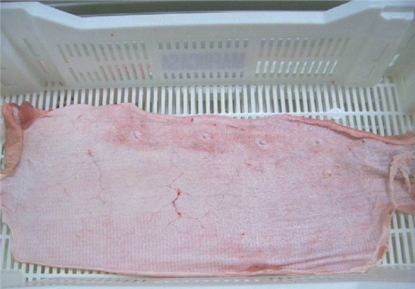 供应丹麦皇冠猪颈骨猪腰五花肉三层肉方中肉猪口条猪七寸批发出售