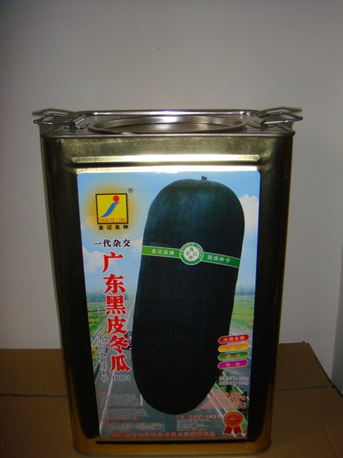 供应冬瓜种子金记创大易成I号黑皮冬瓜U001