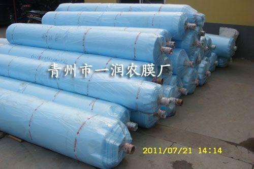 茂金属大棚灌浆膜---青州一润农膜厂