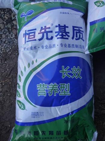 【蔬菜育苗基质】价格公道 品质好的育苗基质品牌恒先