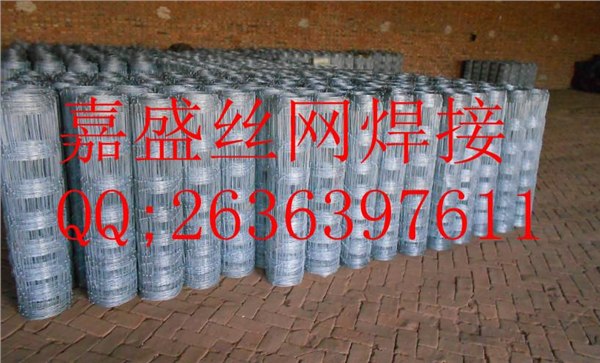 中国草原围网、求购草原围网、供应草原网规格、草原网厂家