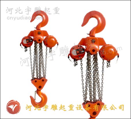 供应建筑爬架环链电动葫芦-倒挂式爬架电动葫芦厂家技术指导