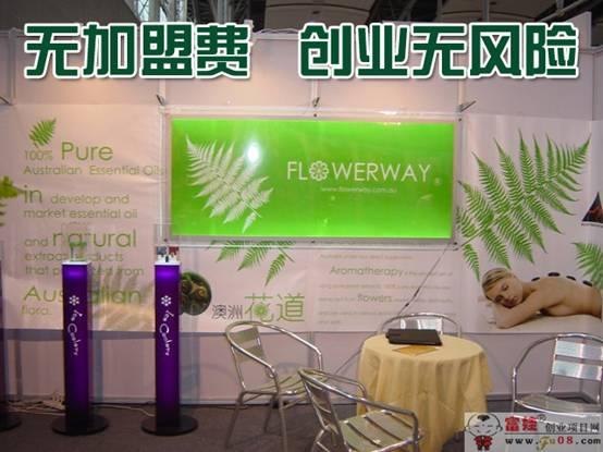 植物精油十大品牌,壮肾补气保养油
