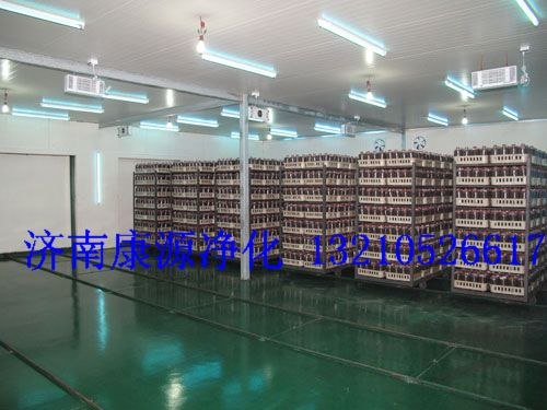 辽宁吉林食用菌接种台超净工作台通风柜传递窗|风淋室|济南康源