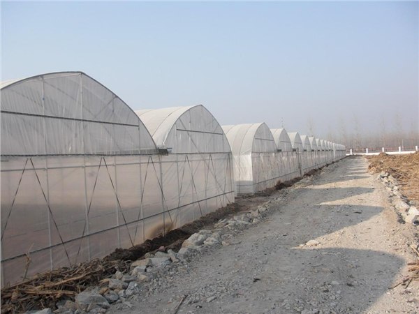 连体拱棚 温室建设材料 大棚骨架卷帘机专售-辰骏