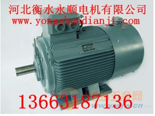 供应G系列变频调速电机-YVF/YVP
