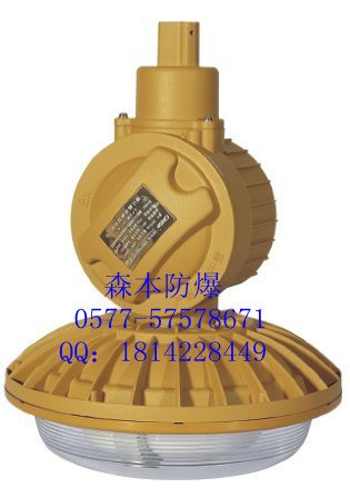 供应免维护电力专用无极灯