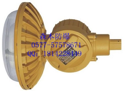 供应SBD1102温州最好的无极灯生产厂家