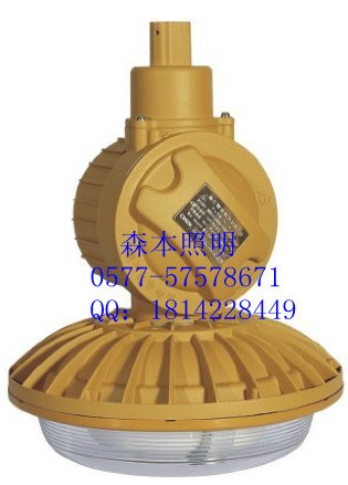 供应粉尘无极灯40Wsbd1102