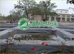 福建养殖防渗膜 养殖塑料薄膜 养殖塑料薄膜多少钱一平方