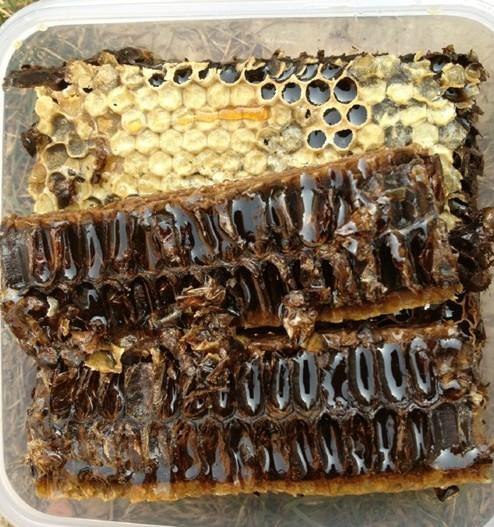 云南老巢蜜云南蜂巢蜜云南野生蜂胶云南蜂胶软胶囊采购选啊细蜜源