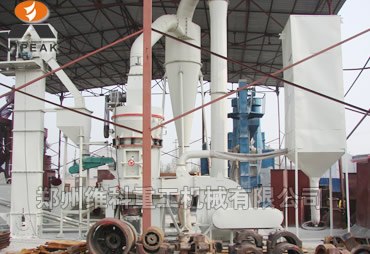 供应云母岩粉磨建材行业应用选雷蒙磨