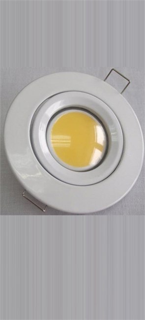 供应天花灯产品