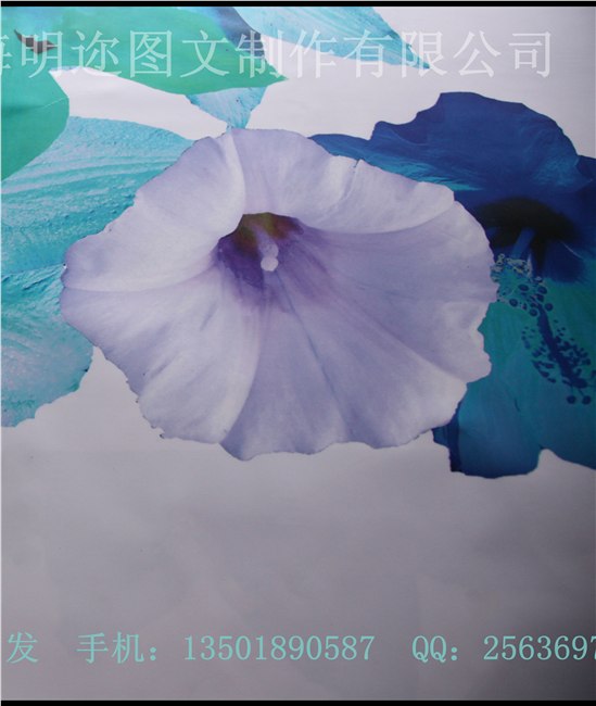 供应户外黑胶车贴