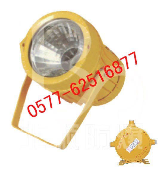 供应BTC8200,C8200,TC8200防爆投光灯，北顺电器 
