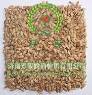 啤酒原料 进口啤酒麦芽 法麦芽 澳麦芽 双麦啤酒原料