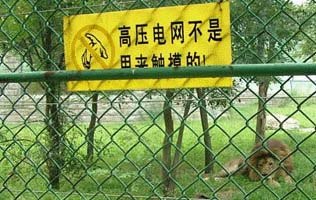 供应体育场护栏网