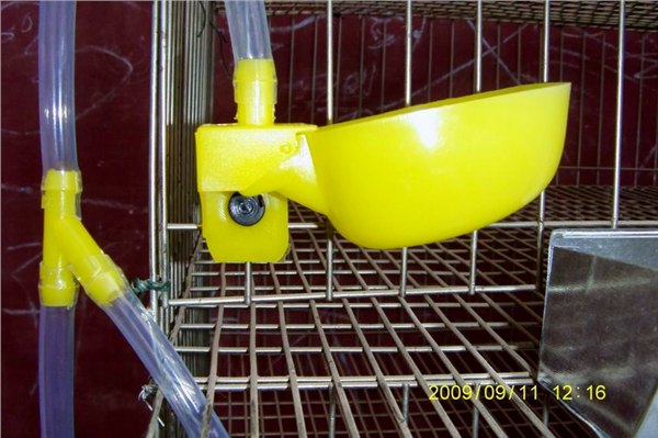 鹌鹑饮水器