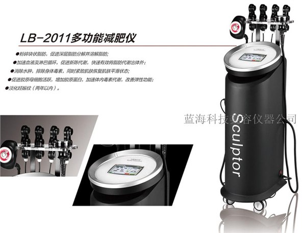供应2011多功能减肥仪专业爆脂减肥塑身仪