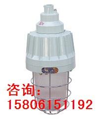 供应BAD62隔爆型防爆灯精品推荐