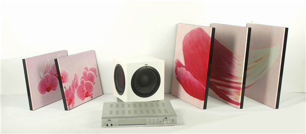超薄音响同时也是高档装饰品或礼品