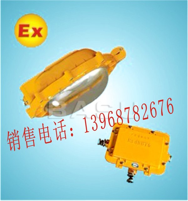 供应BFE8120，BFE8120应急灯，BFE8120内场防爆应急灯