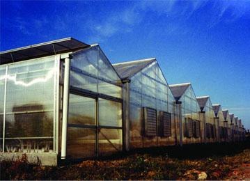 现代化温室设计 生态餐厅建造 蔬菜盆景专供-盛鑫