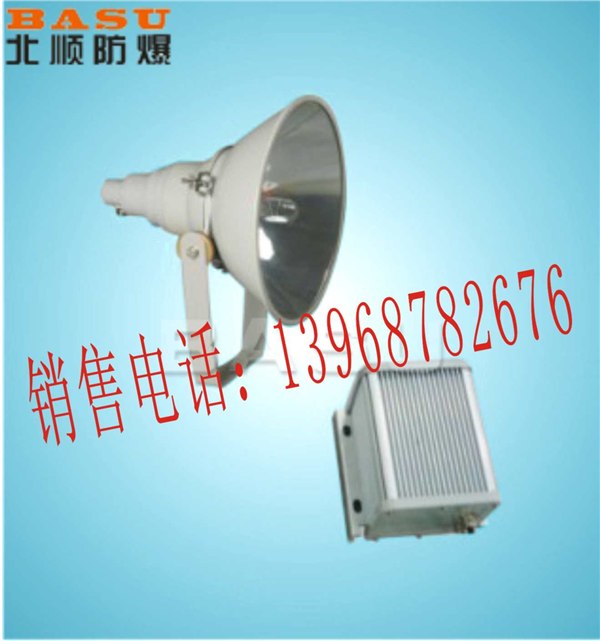 供应防震投光灯，NTC9210投光灯NTC9210防爆投光灯