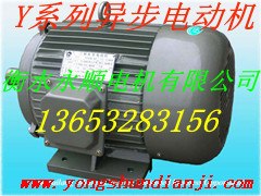 供应Y系列电机之家过标牌