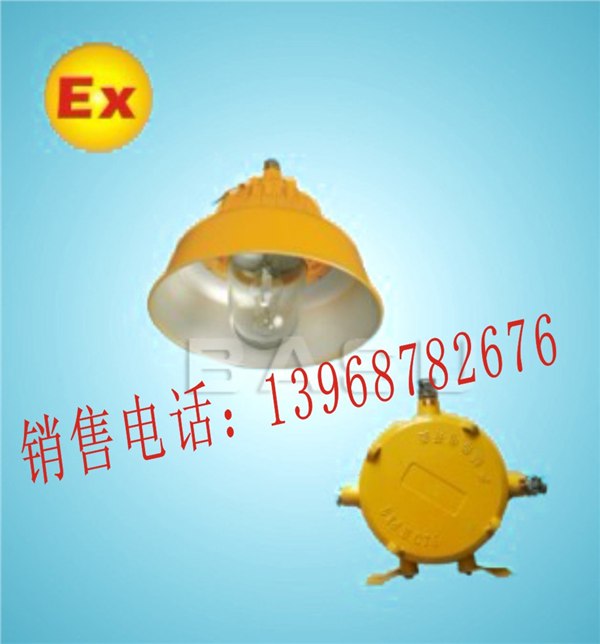 供应BLC8600防爆道路平台灯