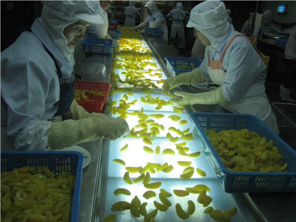供应透明pvc输送带厂家，透明pvc输送带加工