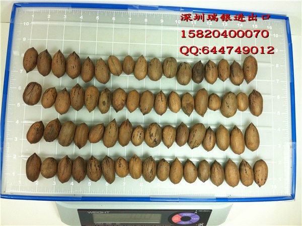 供应南非夏威夷果进口报关物流