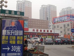 新东升南昌路校区 周日全天新开新概念第二册课