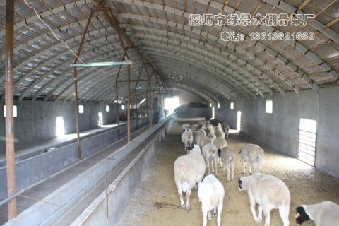 大棚骨架/河南大棚骨架/洛阳大棚骨架