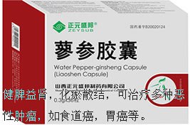 供应蓼参胶囊价格蓼参胶囊济南多少钱