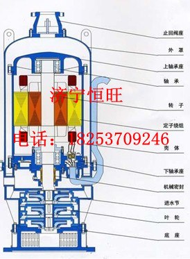 供应BQS2515潜水泵