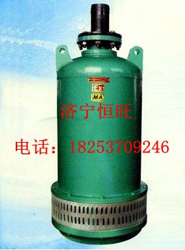 供应BQS1534潜水排污电泵