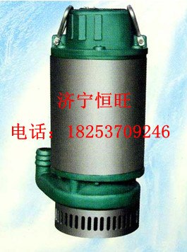 供应BQS2022排沙电泵
