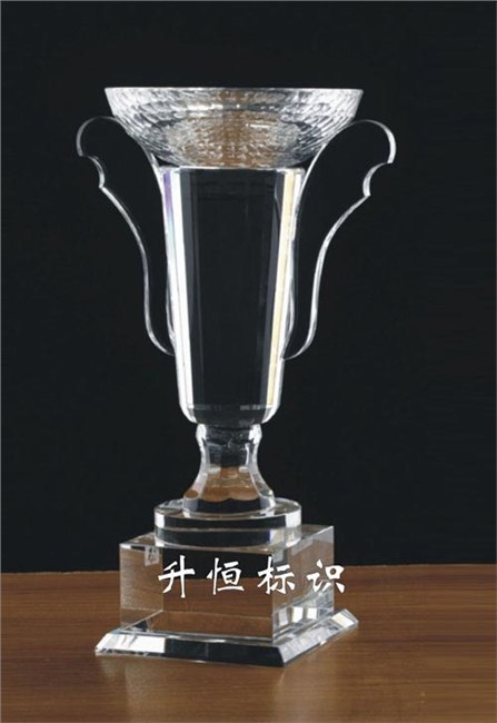 供应奖杯