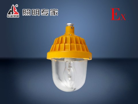 恒盛照明联合海洋王系列BPC8720防爆平台灯