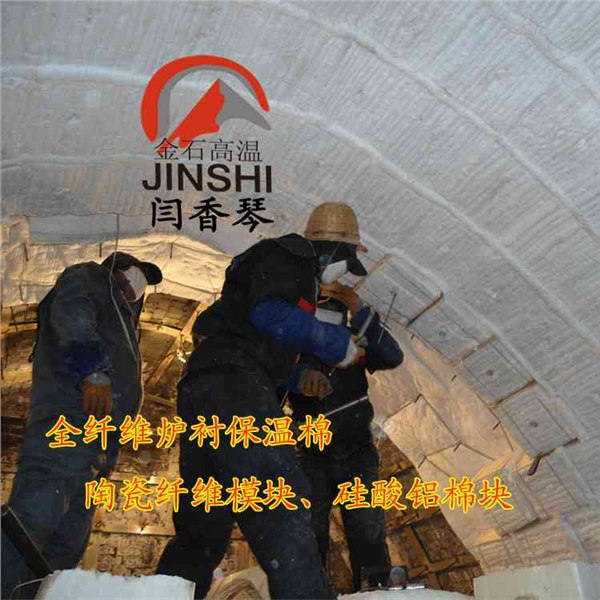 供应砖瓦窑炉衬里用硅酸铝纤维模块