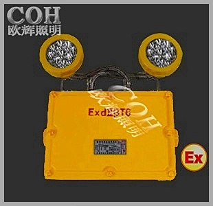 供应LED双头防爆应急灯/隔爆型投光灯厂家